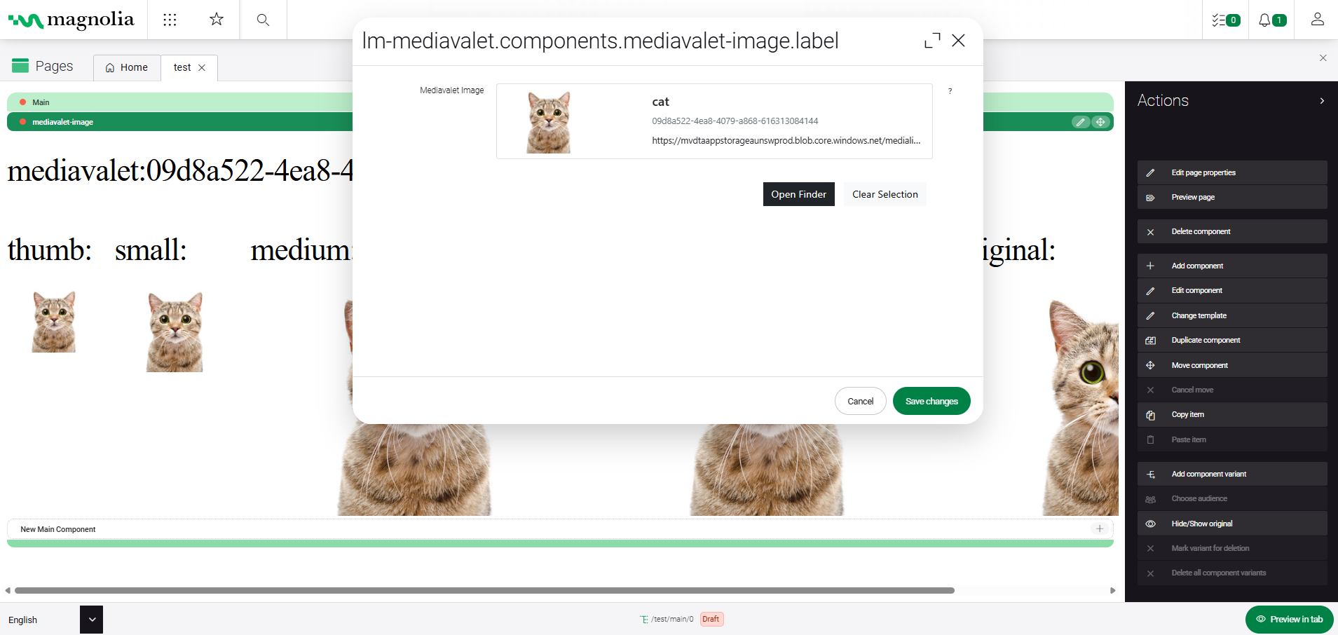 mediaValetWidget
