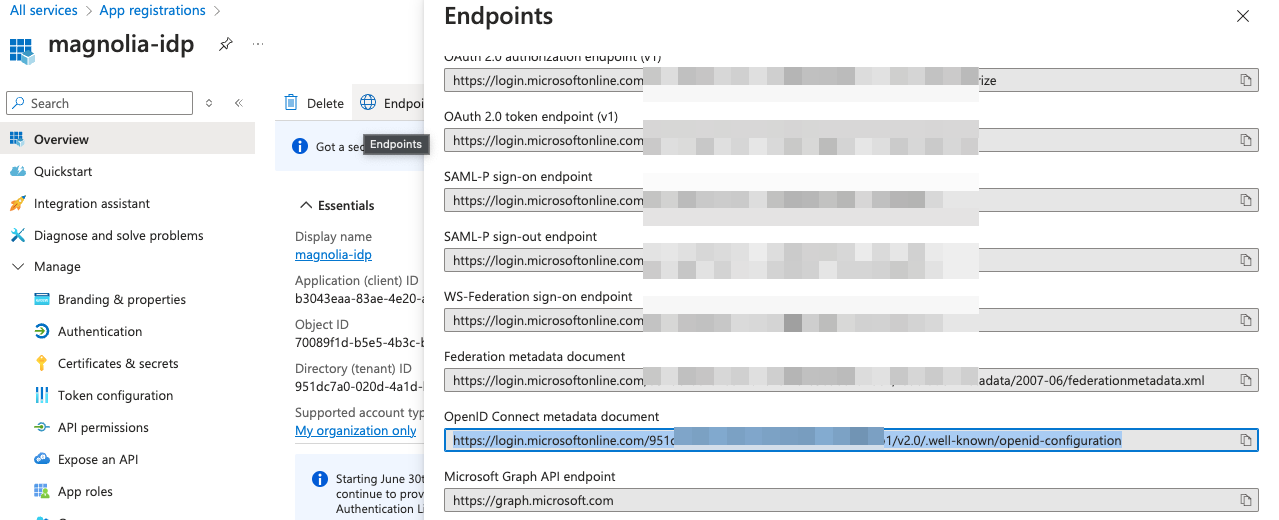 Azure WellKnownDocument