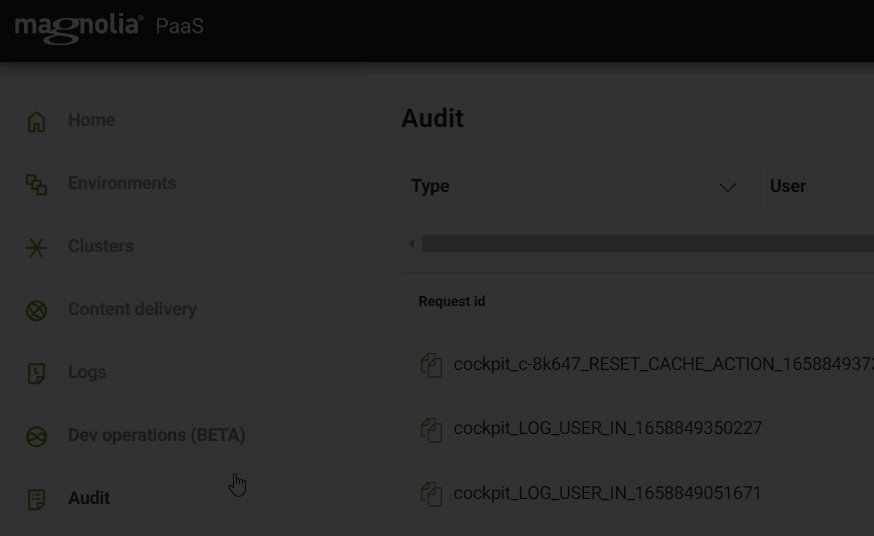 select audit type