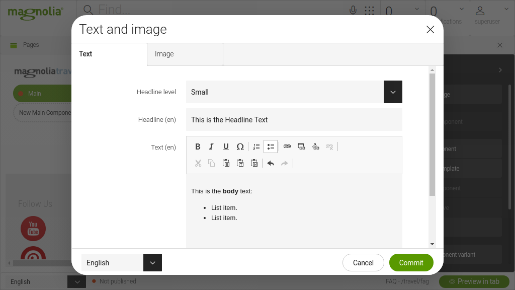 Text and image dialog