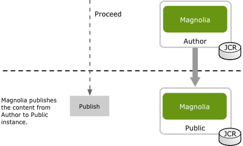 Publishing to the public instance diagram