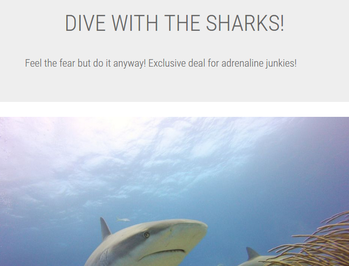 Dive with sharks deal